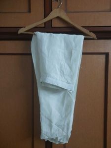 Plazzo Pant