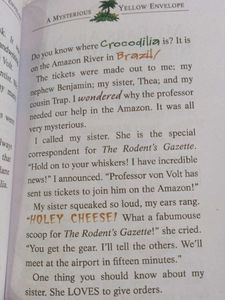 Geronimo Stilton The Temple Of Th Ruby O Fire