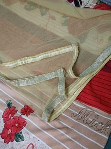 Elegant Gold Net Dupatta with Silver Border