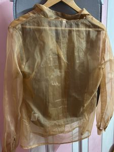 Organza Sheer Top