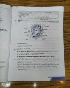 Xamidea Complete Course Science Class 9 Reference