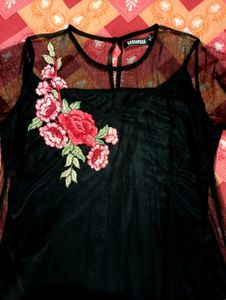 Elegant Embroidered Black Mesh Dress