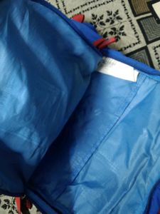 Original Skybags Cricket Themed Blue Backpack