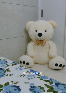 new taddy bear