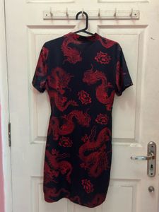 Dragon Print Mini Dress