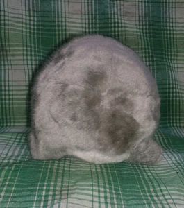 Hamster Soft Toy