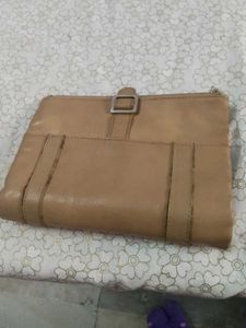 Baggit clutch