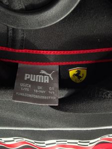 Puma Motorsport Hoodie
