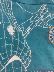 Boys Spider-Man printed  T-Shirt