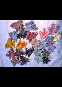 Beautiful Hair Clip combo