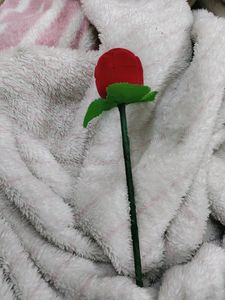 Rose To Propose🌹