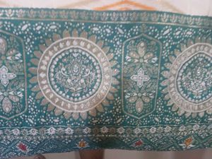 Elegant Saree with Intricate Border