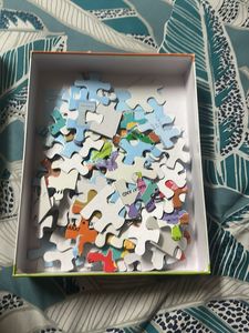 Dolly Plastic India Map Puzzle