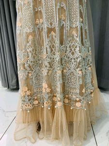 Party Wear Ethnic Gown