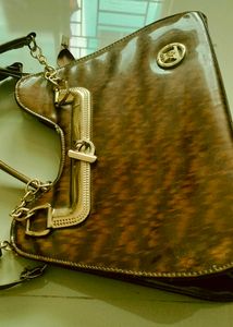 Brown &amp; Gold Tote Bag