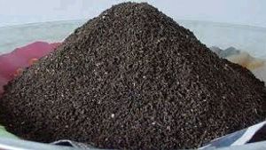 1 Kg Vermi Compost
