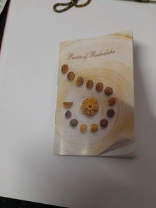 New Unused Ek Mukhi Rudraksha Pendant+free Chain