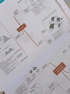 CBSE Class 12 Biology Sample Papers