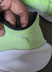 Puma Neon Running shoes 👟