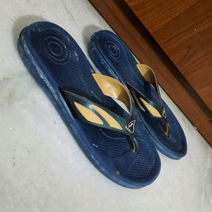Blue Slippers