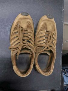 Brown Suede Lace-Up Casual Shoes