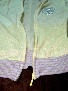 Sparkly Hoodie Jacket