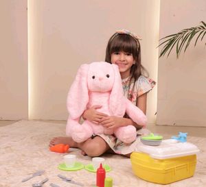 Pink Bunny Soft Toy