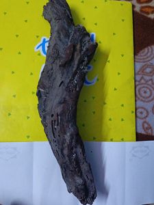 Aquarium Wood