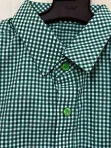 Green Gingham Men's Shirt