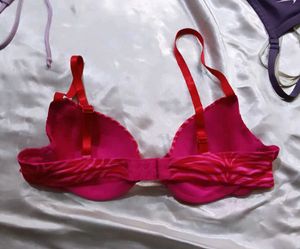 Red &amp; Pink Animal Print Bra