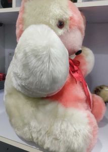 Cute Pink and White Teddy Bear with Red Now