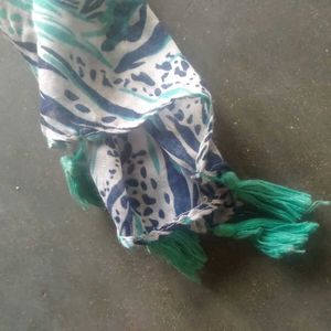 Ladies Scarf