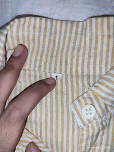 Striped Button-Down Shirt