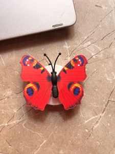 Butterfly Light