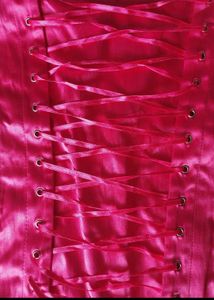 Shiny Pink Corset Top
