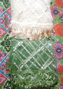 Combo of 2 Fancy Dupattas