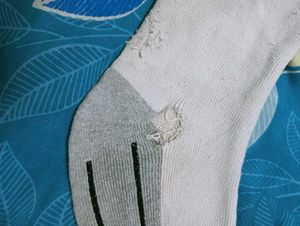 pack of 3 ( adidas + jockey + ss ) socks