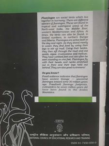 Flamingo Textbook for Class XII