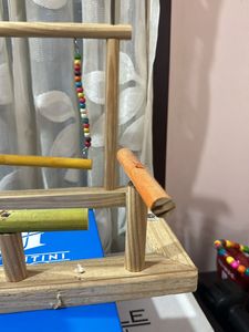 Bird Sitting Toy