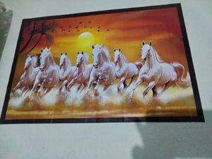 Stunning White Horse Wall Art