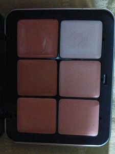 Carla Secret Concealer &amp; Blush Palette
