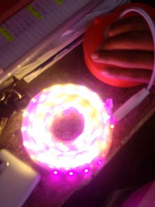6 LED Strip Lights 10 mtr