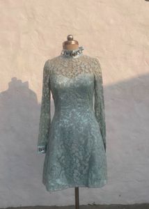 Elegant Lace Dress