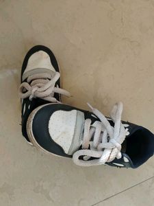 Stylish Navy &amp; White Sneakers