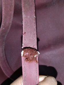 women's bag packs for travel