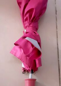 Pink Umbrella