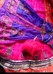 Vibrant Embroidered Lehenga Choli