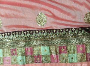 Elegant Peach Saree with Gold Embroidery