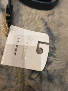 Stylish Black Belt with Gold Buckle