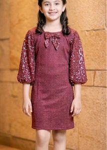 Sparkling Sequin Sleeve Dress